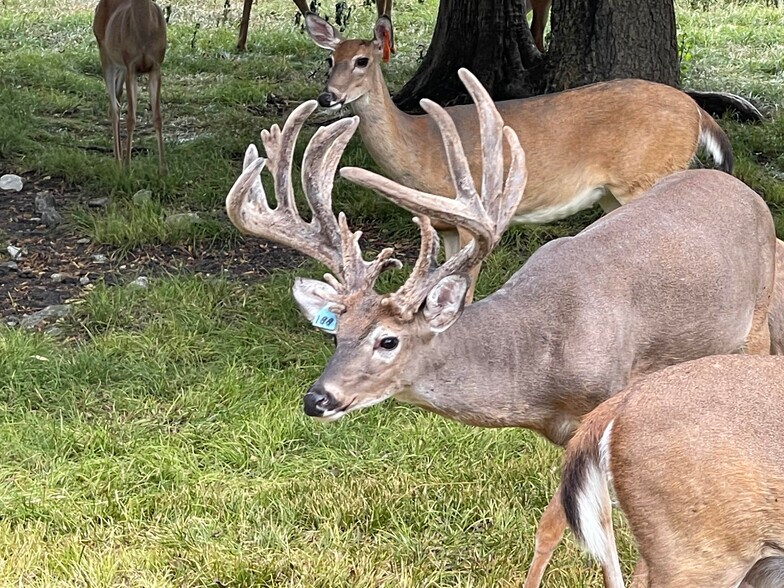 More Photos Of 6040 AL-28, Pine Apple Specialty For Sale