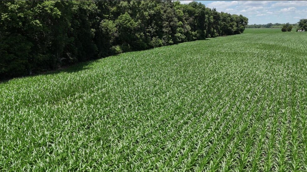 Primary Photo Of ASHFORD Rd, Mount Vernon Land For Sale