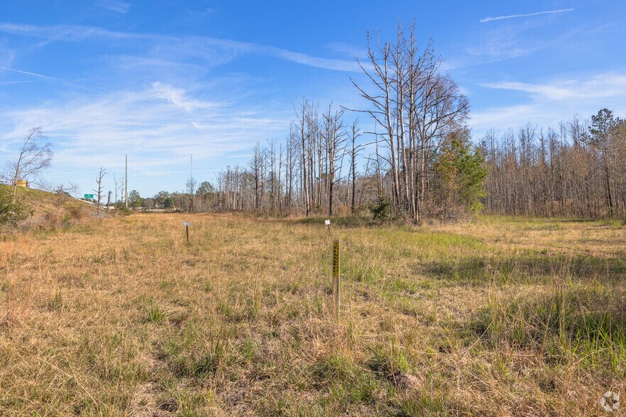 215 Jimmy DeLoach Pky