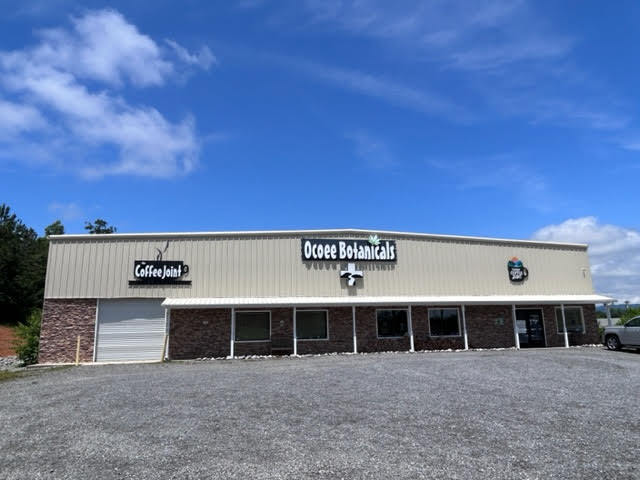 Primary Photo Of 409 Highway 64, Ocoee Showroom For Sale