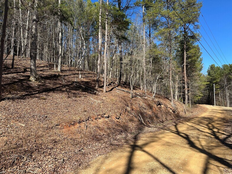 More Photos Of 3472 Prior Station Rd, Cedartown Land For Sale