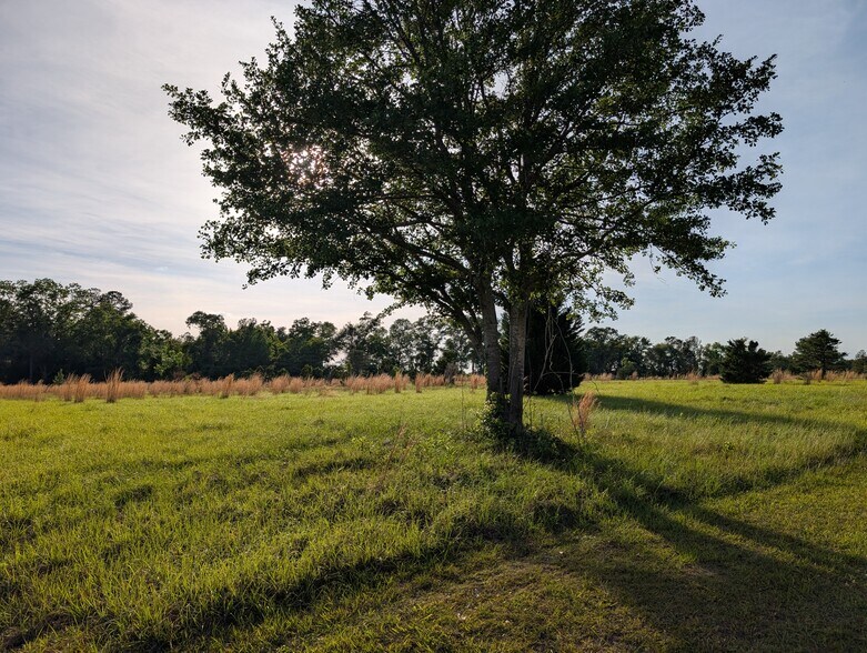 More Photos Of 5719 Hambrick Rd rd, Hahira Land For Sale