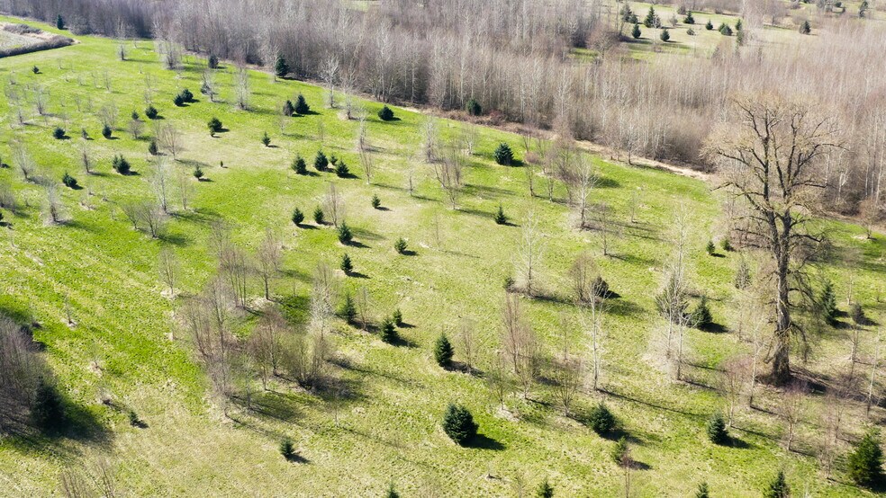 More Photos Of 2323 Lindgren Rd, Mount Vernon Land For Sale