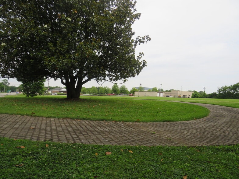 More Photos Of 920 Springfield Rd, Bardstown Land For Sale