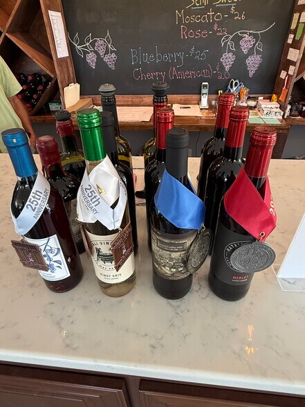 More Photos Of 221 N Delsea Dr, Cape May Court House Winery Vineyard For Sale