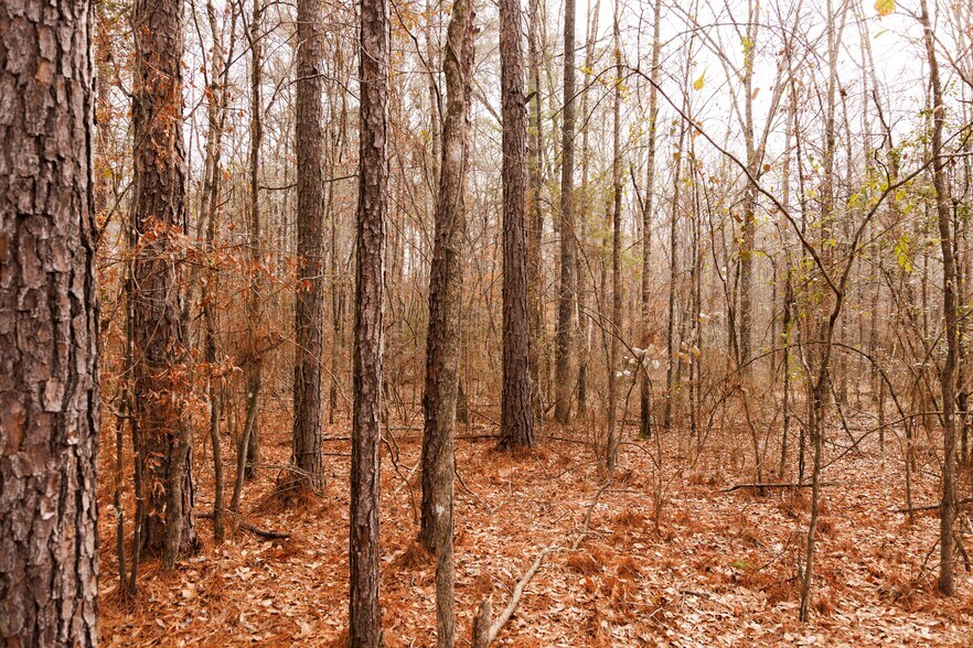 More Photos Of Jug Factory Road, Wetumpka Land For Sale