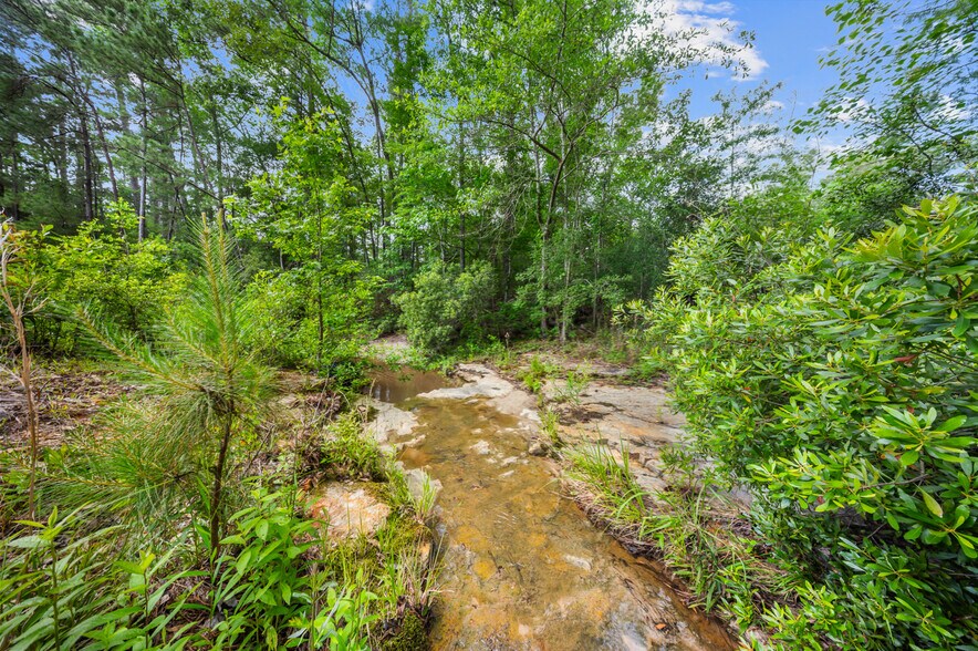 More Photos Of 3290 Sam Rayburn Parkway, Brookeland Land For Sale