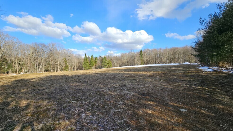 More Photos Of 1316 William Ernst Rd, West Leyden Land For Sale