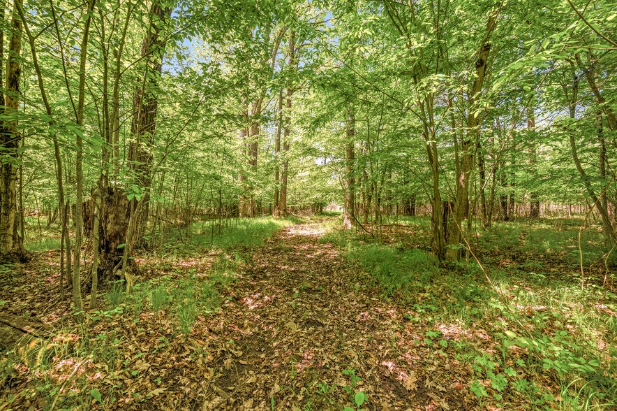 More Photos Of V/L 220th Ave, Big Rapids Land For Sale