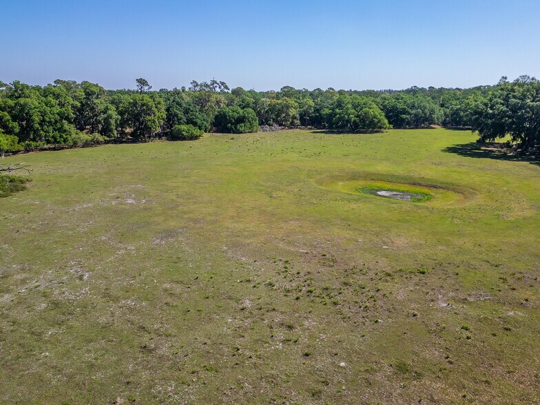 More Photos Of Carlton Rd, Plant City Land For Sale