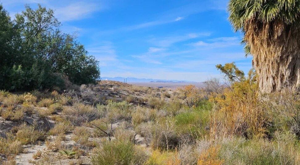 More Photos Of 160 +/- Acres Juanita Springs Ranch, Bunkerville Land For Sale