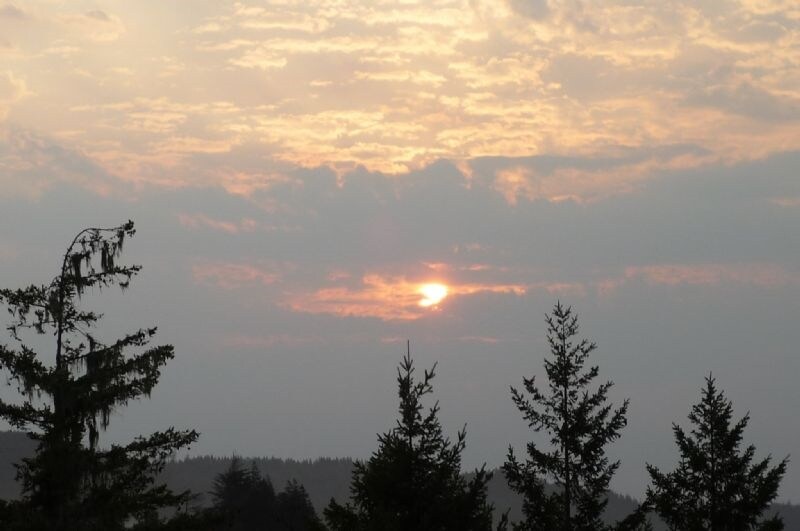 More Photos Of 12901 Avenue of the Giants St, Myers Flat Hospitality For Sale