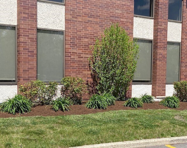 More Photos Of 255 E Lake St, Bloomingdale Office For Lease