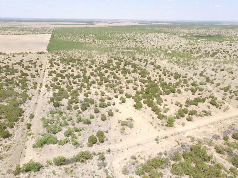 More Photos Of CR 1329, Paint Rock Land For Sale