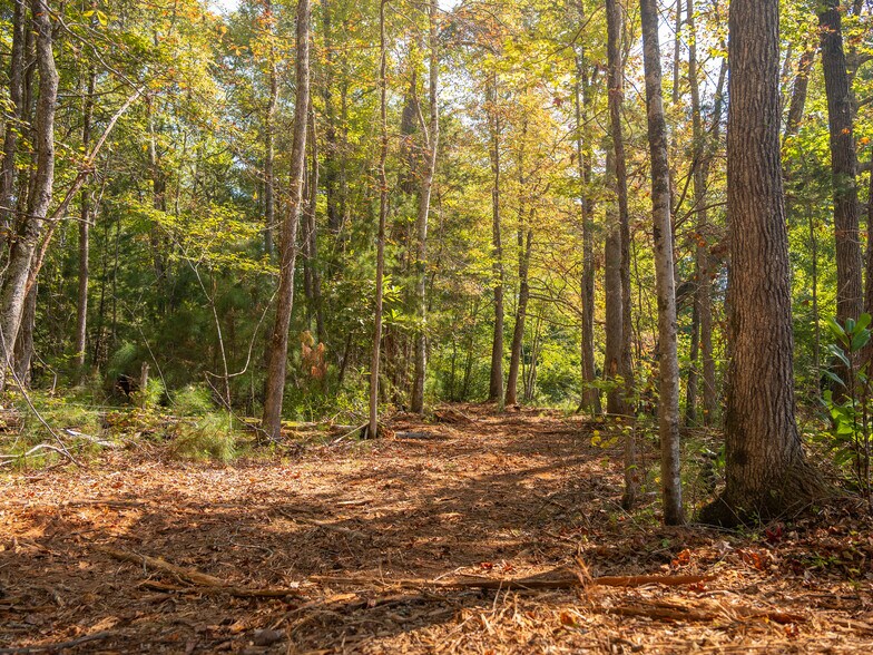 More Photos Of 00 Nash Mill Extension rd, Fountain Inn Land For Sale