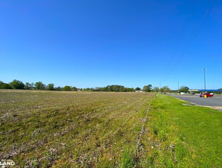 More Photos Of 3098 N HWY 171, Fayette Land For Sale