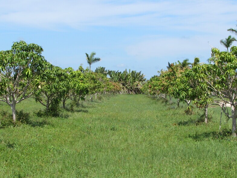 More Photos Of 9000 Stringfellow Rd, Saint James City Land For Sale