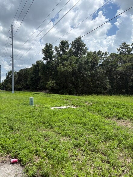 More Photos Of 4909 Paul Buchman Hwy, Plant City Land For Lease