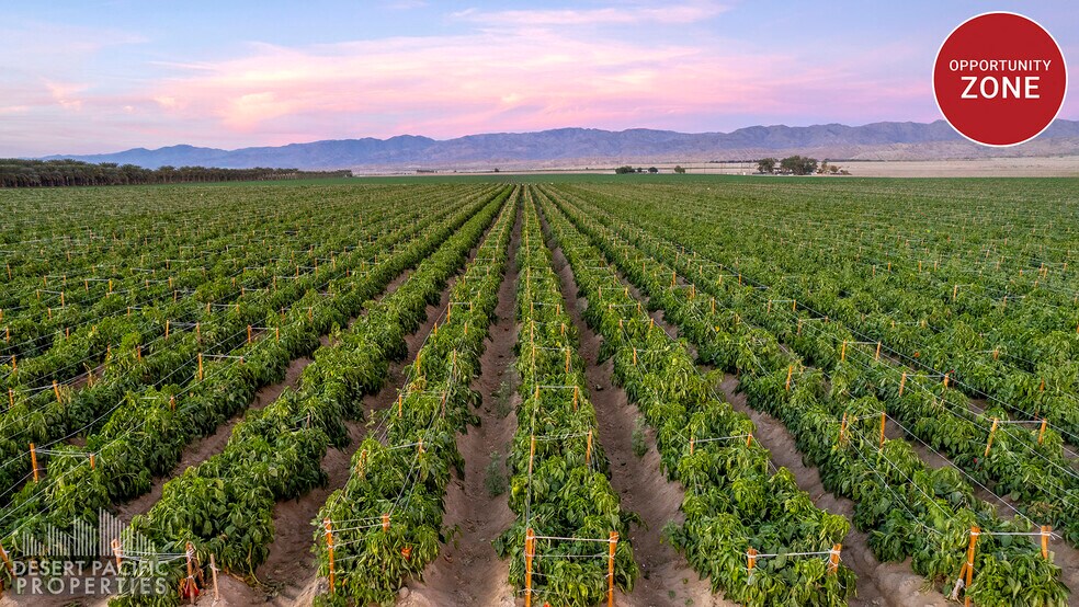 Primary Photo Of Ave 72 & Hayes st, Mecca Land For Sale