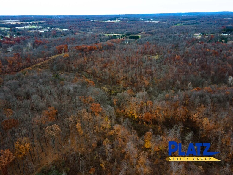 More Photos Of 10666 Akron Canfield, Canfield Land For Sale
