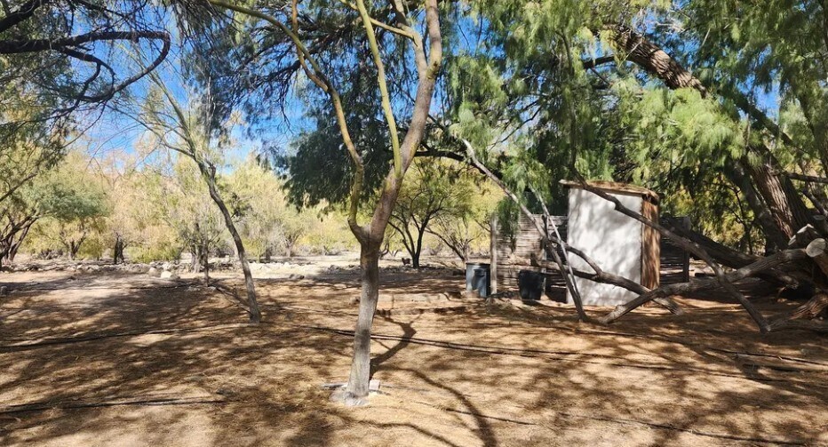 More Photos Of 160 +/- Acres Juanita Springs Ranch, Bunkerville Land For Sale