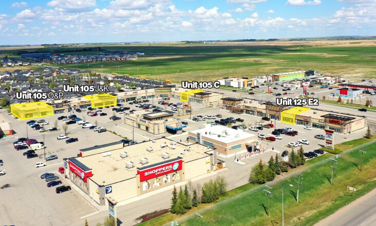 Primary Photo Of 100 Ranch Market, Strathmore Unknown For Lease
