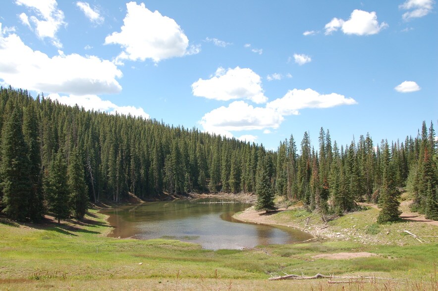 More Photos Of Lake Beaver E, Beaver Land For Sale