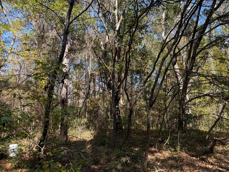 More Photos Of 793 Puncheon Creek Dr, Andrews Land For Sale