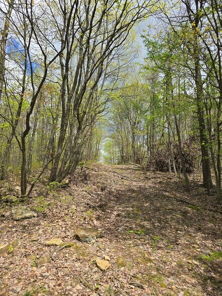 More Photos Of 0 Lower Mudlic rd, Mayport Land For Sale