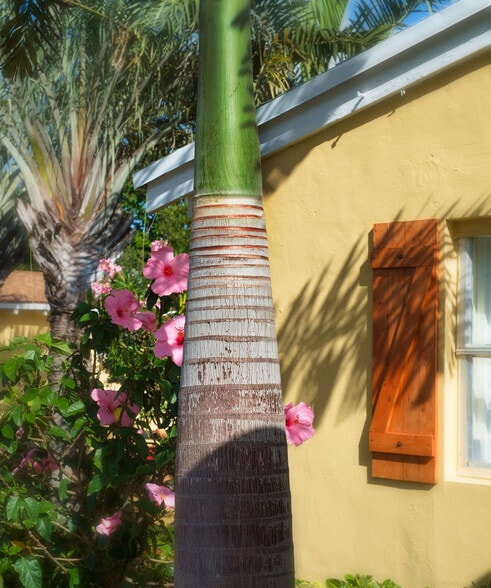 More Photos Of 297 NE 6th Ave, Delray Beach Hotel For Sale