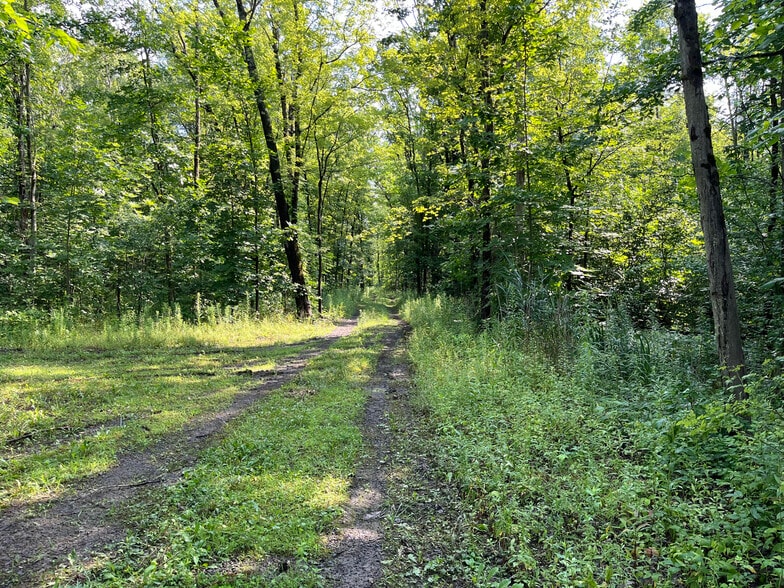 More Photos Of 9595 Horseshoe Island, Clay Land For Sale