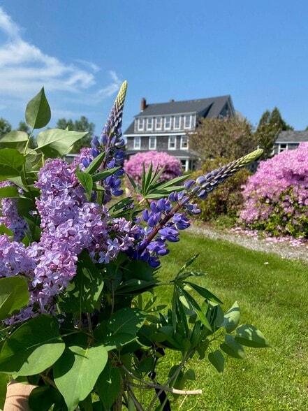 Primary Photo Of 3063 Bristol Rd, New Harbor Hospitality For Sale