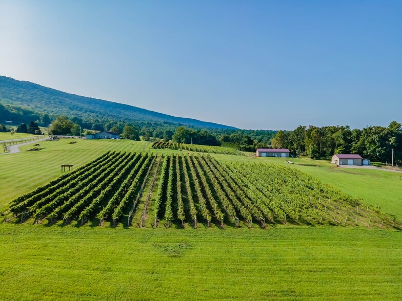 More Photos Of 596 Harman Rd, Halifax Winery Vineyard For Sale