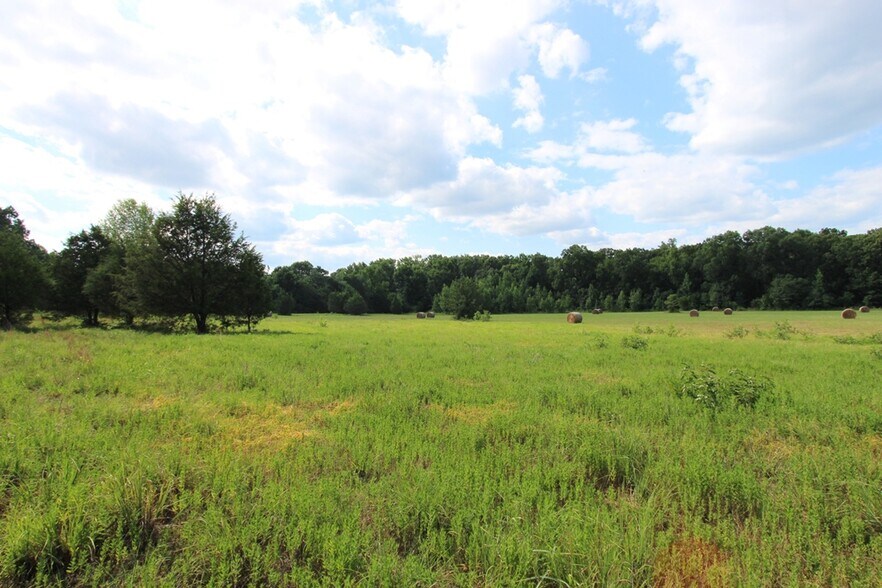 More Photos Of 278 Highway 64 E, Conway Land For Sale