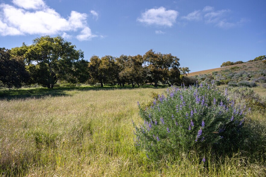 More Photos Of 7855 Old Careaga Ranch Rd, Santa Maria Land For Sale