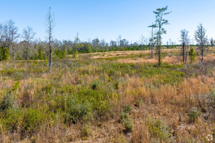 More Photos Of 0 U.S. HWY 59, Loxley Land For Sale