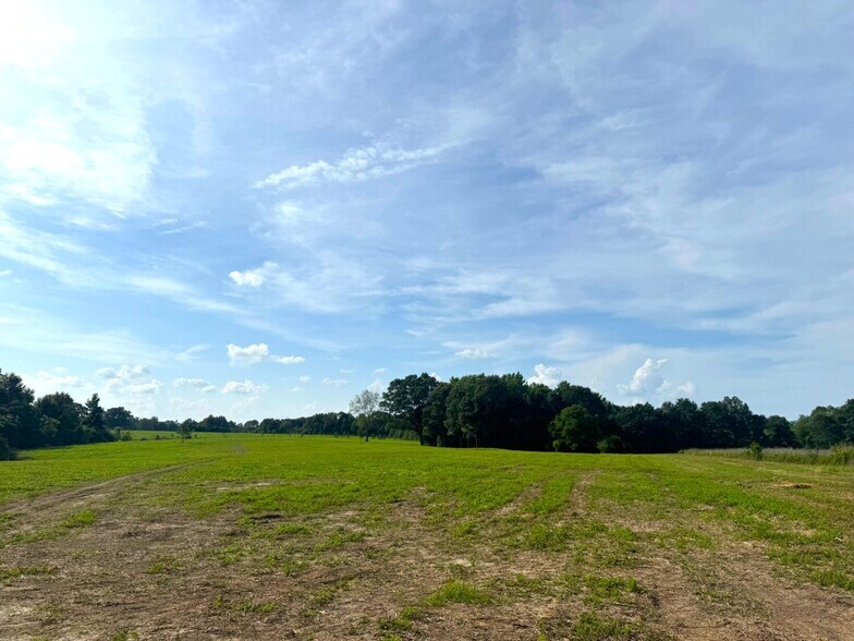 More Photos Of Lester Seals Rd, Lumberton Land For Sale