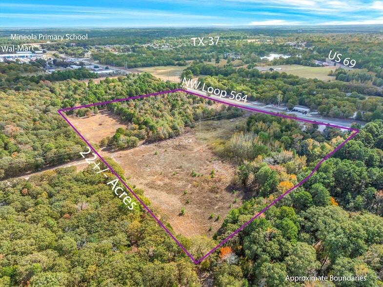 Primary Photo Of 700 NW Loop 564, Mineola Flex For Sale