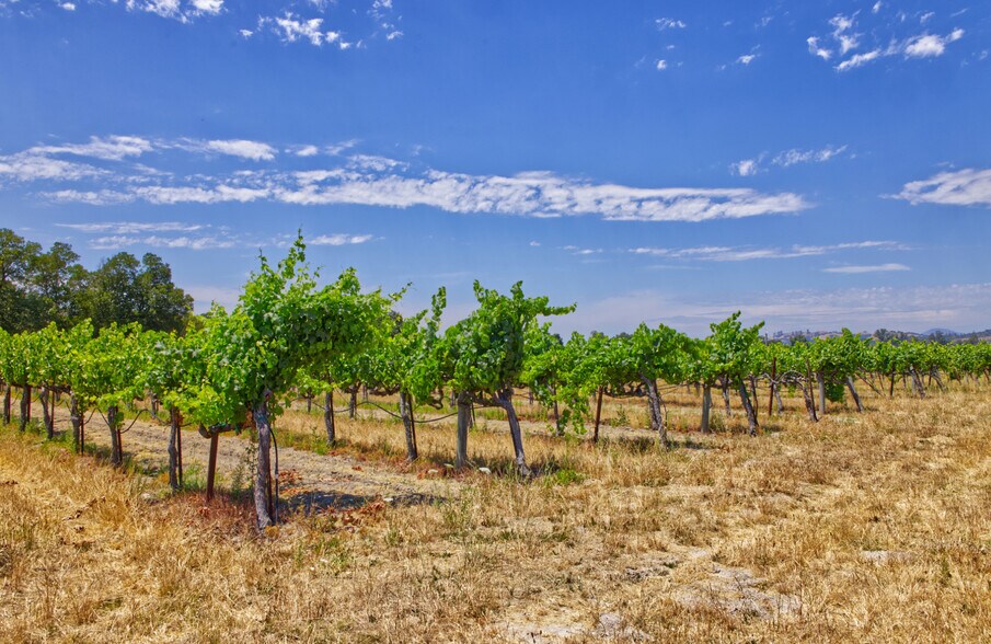 More Photos Of 179 Pleasant Ave, Santa Rosa Land For Sale