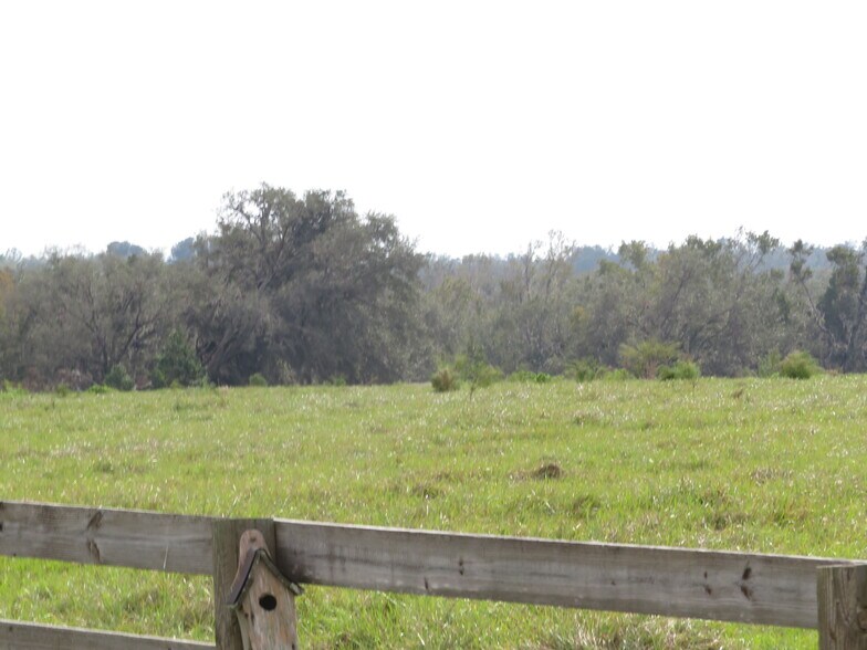 More Photos Of 14451 Curley Rd, Dade City Land For Sale