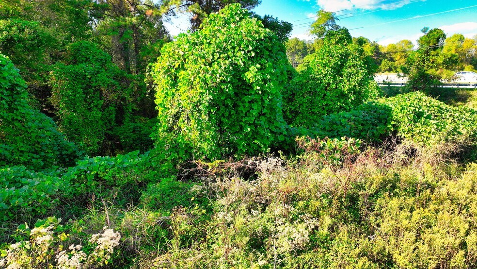 More Photos Of 2600 Iris dr SW, Conyers Land For Sale