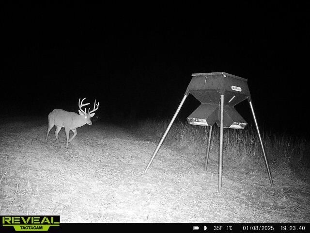 More Photos Of 17675 Cedar Springs Rd, Blakely Land For Sale