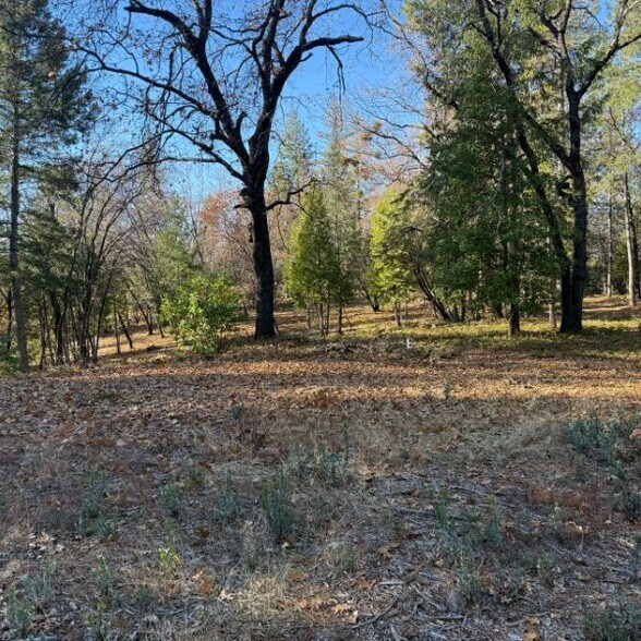 More Photos Of Vacant Land Spring Garden Road, Foresthill Land For Sale