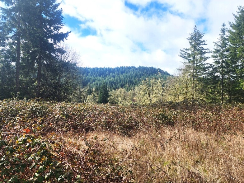 More Photos Of 85106 Territorial Hwy, Eugene Land For Sale