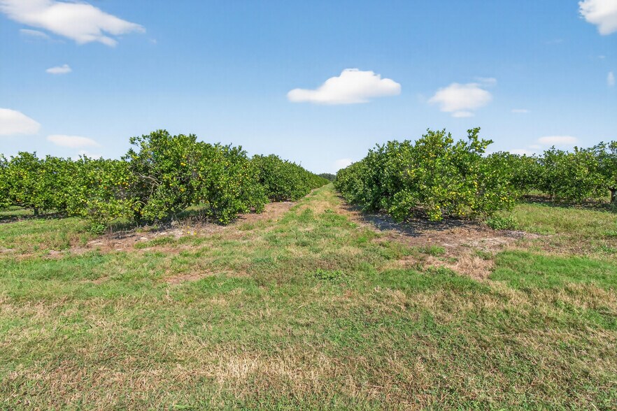 More Photos Of 8476 Ten Mile Grade, Zolfo Springs Land For Sale