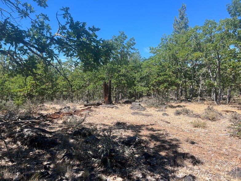 More Photos Of 407 Blue Spruce, Goldendale Land For Sale