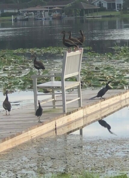 More Photos Of 22129 Carson Dr, Land O' Lakes Specialty For Sale