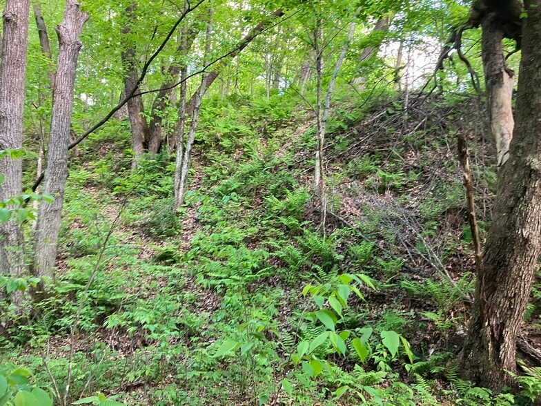 More Photos Of N3739 Bear Pen Rd, Arkansaw Land For Sale
