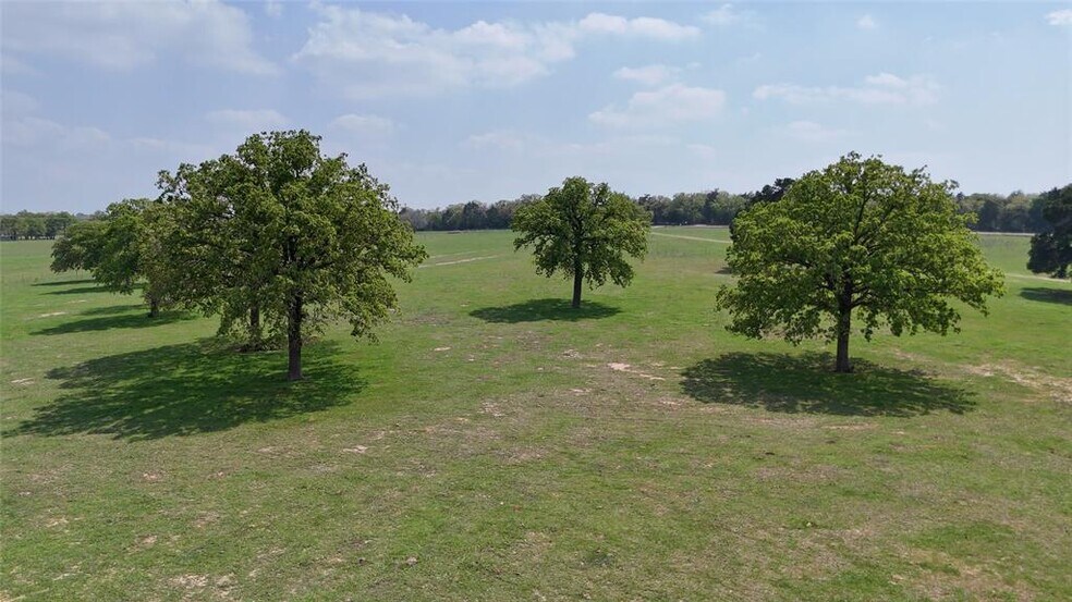 More Photos Of 2792 FM 535, Rosanky Land For Sale