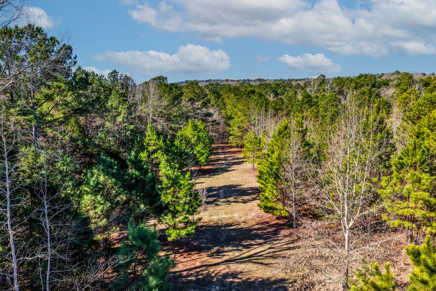 More Photos Of 1609 County Road 246 S rd, Tyler Land For Sale